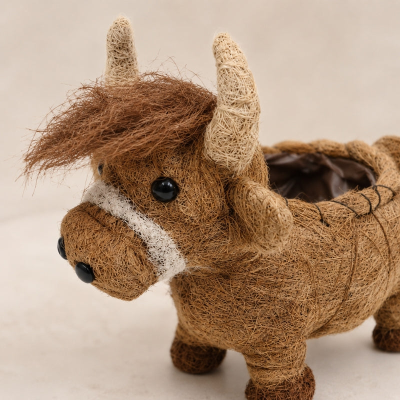 Close-up of HUSK Highland cow planter showing coconut fibre texture, horns and shaggy fringe