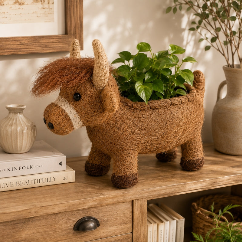 Large HUSK Highland cow planter with greenery styled in a rustic garden setting