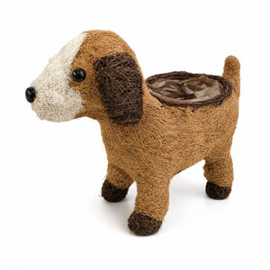 HUSK puppy planter in natural brown coconut fibre with cream muzzle and planting opening