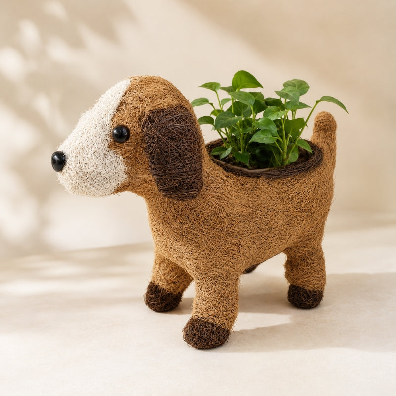HUSK puppy planter with green plant styled on a neutral background