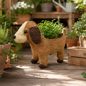 HUSK puppy planter with green plant styled in a cozy garden setting