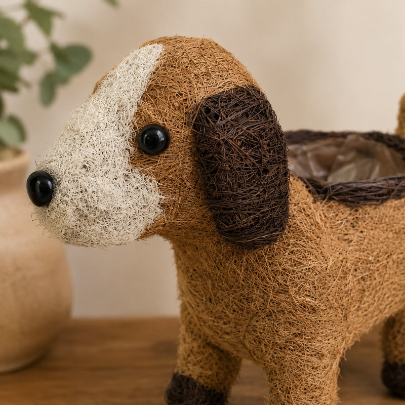 Close-up of HUSK puppy planter showing coconut fibre texture, cream muzzle and dark brown ear