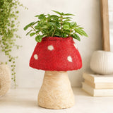 A HUSK Toadstool Planter – Red & White 19cm made from red and beige yarn, with a green potted plant inside, photographed on a aesthetic background.