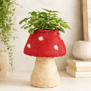 A HUSK Toadstool Planter – Red & White 19cm made from red and beige yarn, with a green potted plant inside, photographed on a aesthetic background.