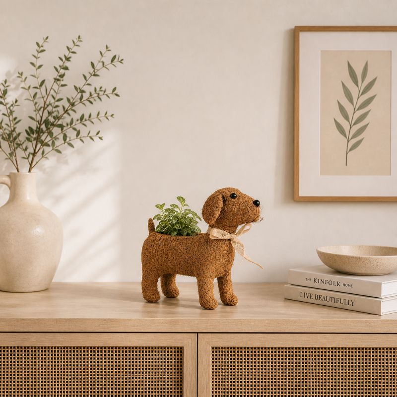 Cute animal planter displayed on shelf with aesthetic accents