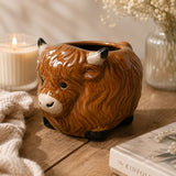 HIghland Cow Mug on a wooden surface with a candle and vase in the background.-Loveshack Giftware