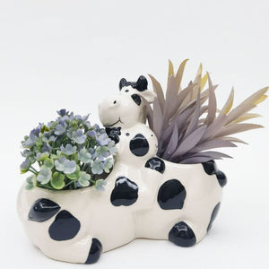 Hugging Cows Planter White & Black 12cm – Love Shack Giftware (1)