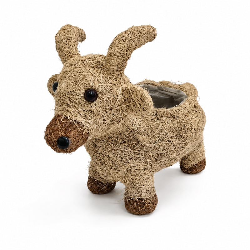 A rustic decorative HUSK Goat Planter Natural 30cm shaped like a cow or goat, constructed from natural jute rope with a dark brown nose and hooves, and a hollow center for a planter, shown on a white background.