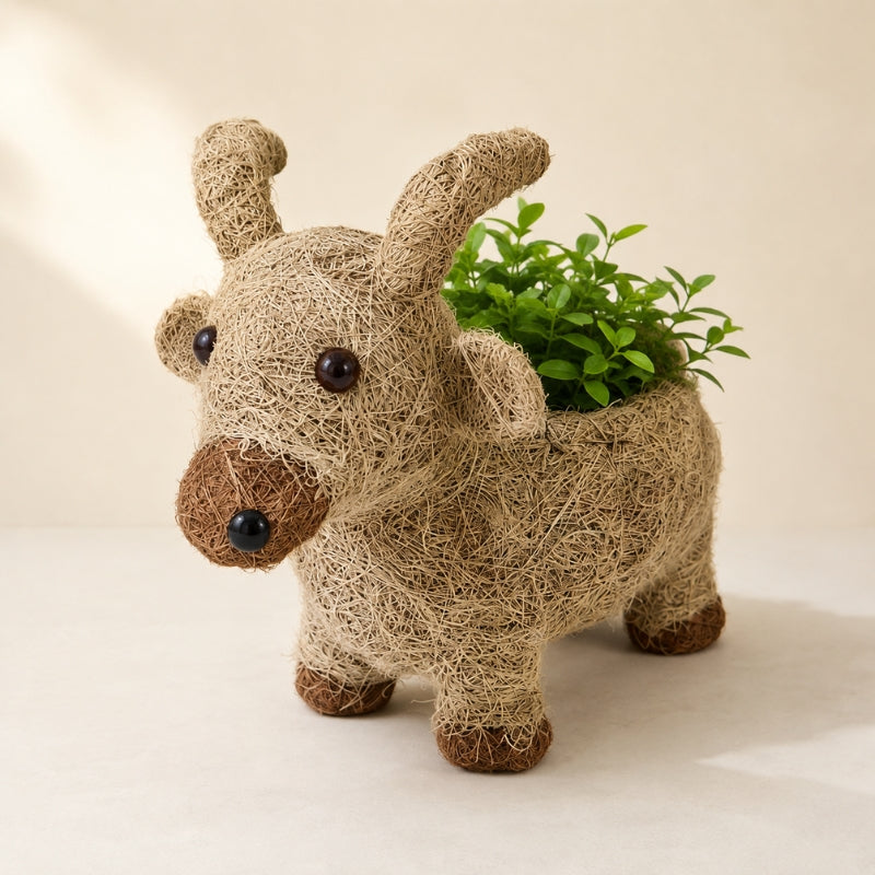 A HUSK Goat Planter Natural 30cm shaped like a small reindeer, with a small green plant growing in its body, set against a warm beige background.