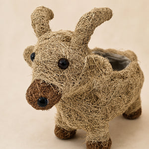 HUSK natural brown goat-shaped planter made from coconut fibre