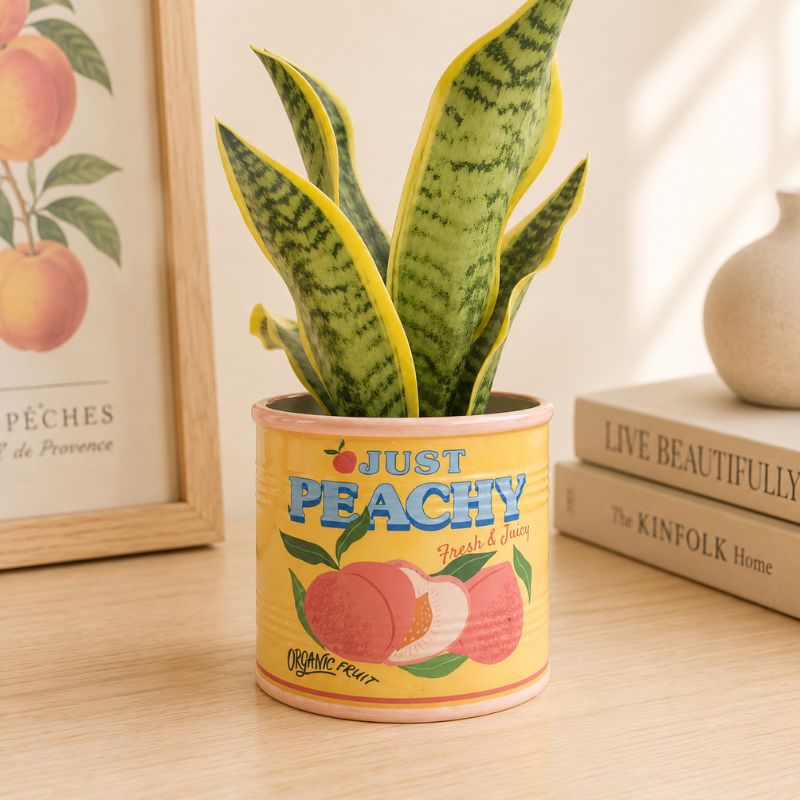 Potted plant in a decorative can with peach design on a wooden surface