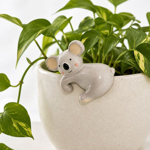 A small ceramic koala figurine in a light gray glaze with beige ears and pink cheeks, resting on the rim of a speckled off-white planter filled with green pothos plant leaves.-Koala Pot Hanger