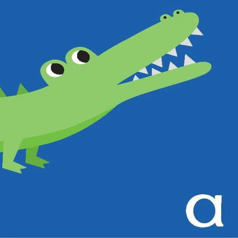 Little Genius Vol. 2 – Flash Cards – ABC – Love Shack Giftware