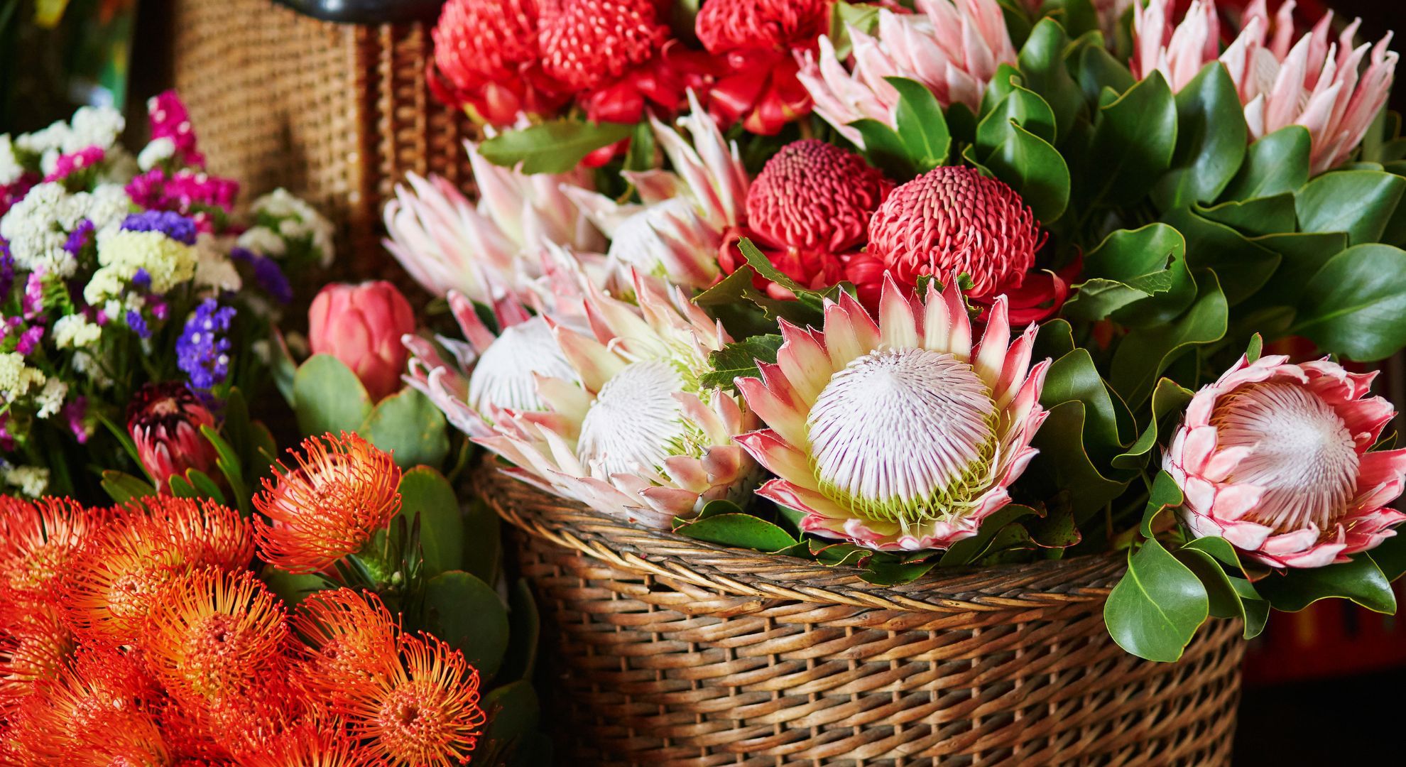 Native-Flowers- Love Shack Giftware