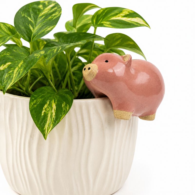 A pink ceramic pig figurine with a gold snout and feet, perched on the rim of a white ribbed planter pot containing a green variegated pothos plant, set against a plain white background.-Pig Pot Hanger