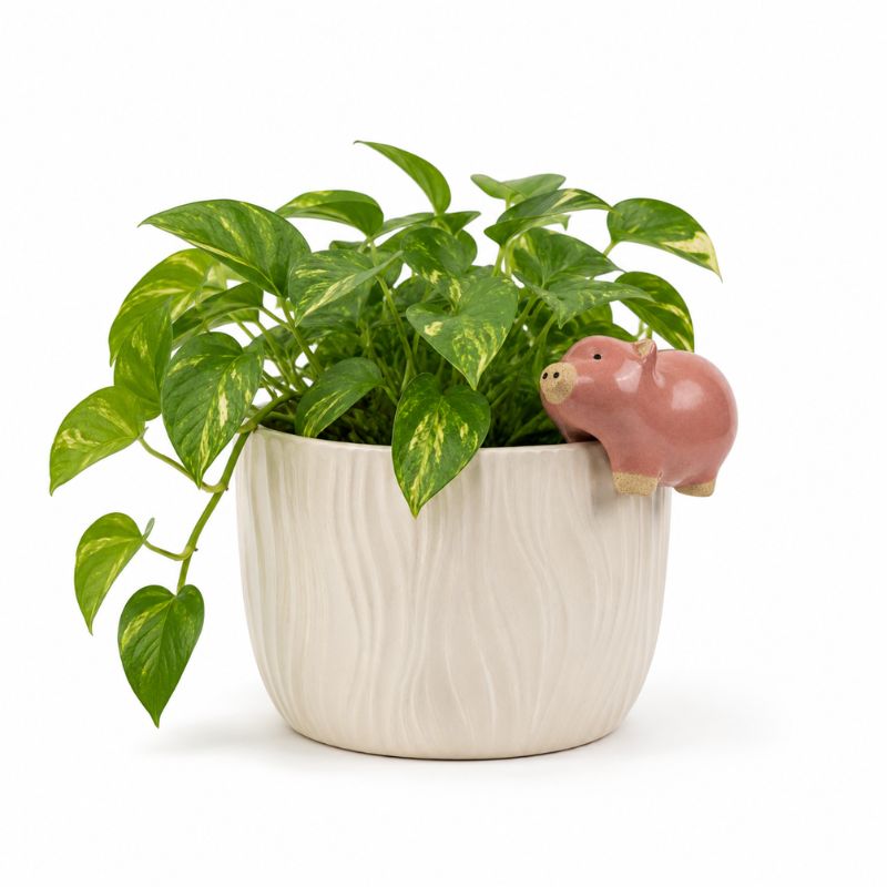 A green pothos plant in a textured off-white ceramic pot with a small pink pig figurine perched on the side, set against a plain white background.-Pig Pot Hanger