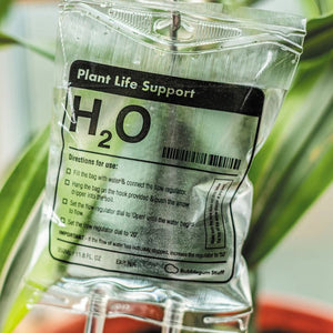Plant Life Support…