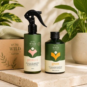  We The Wild Plant Care Essentials Bundle displayed with Protect Spray and Grow Plant Food beside indoor plants.displayed on a stone surface with potted plants in the background.