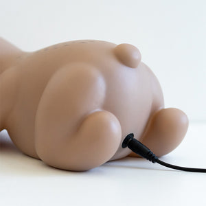 Sloth Night Light – Brown – Love Shack Giftware