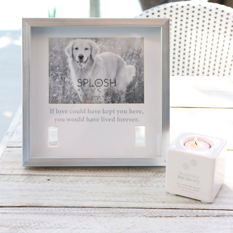 Splosh Sympathy Pet Memorial Collar Frame – Love Shack Giftware