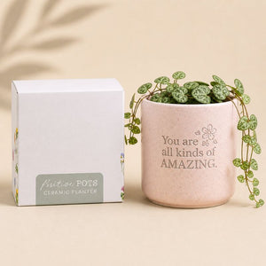 Splosh ceramic planter with gift box packaging on beige background