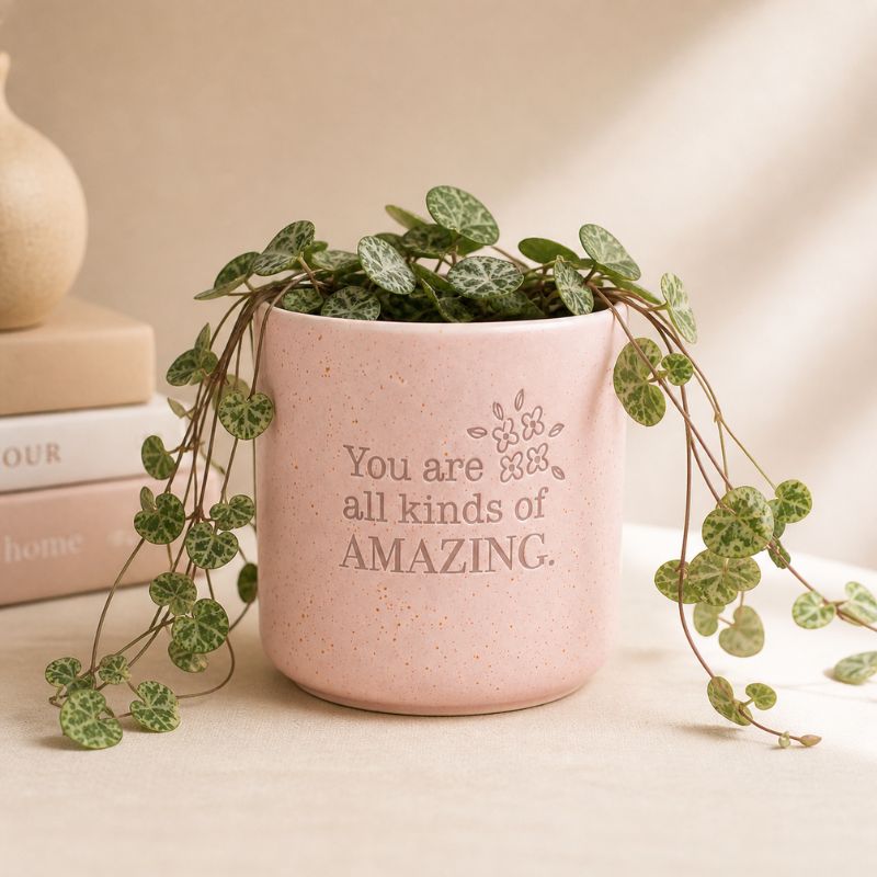 Pink positive quote planter with cascading vine plant on neutral backdrop