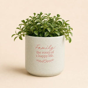 Splosh ceramic planter with gift box packaging and floral design