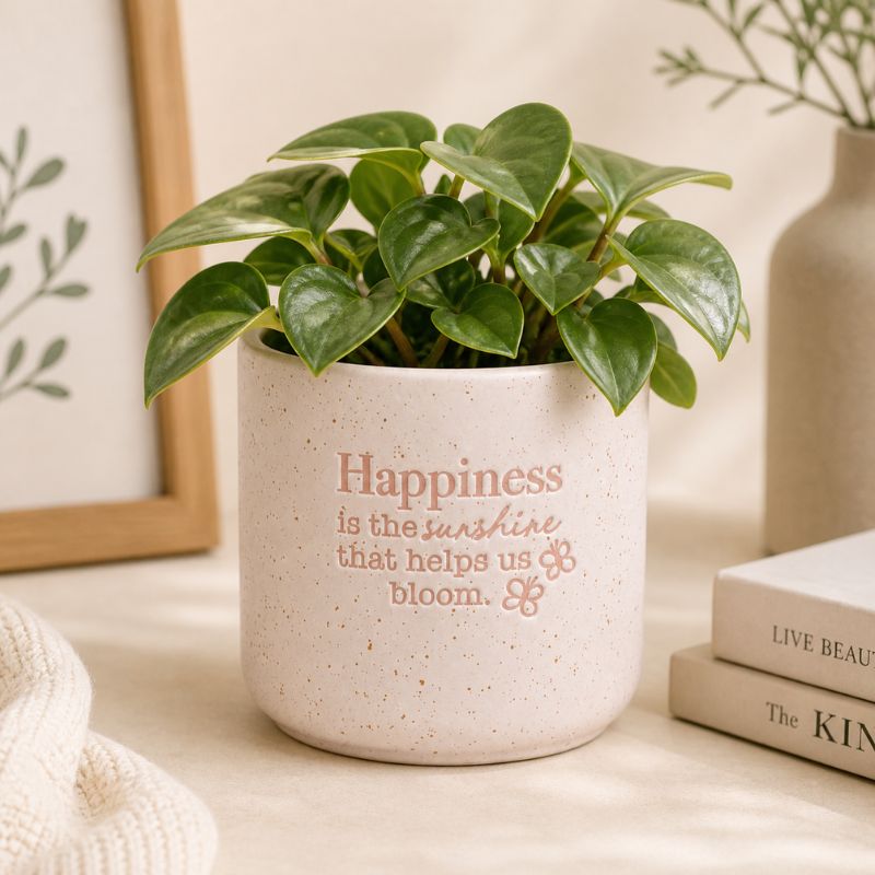 Ceramic happiness quote planter with leafy plant in cozy neutral setting
