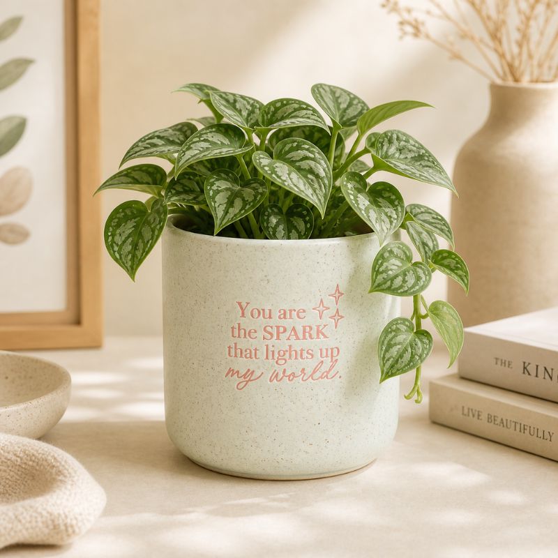 Ceramic quote planter with green houseplant styled on neutral home decor setting