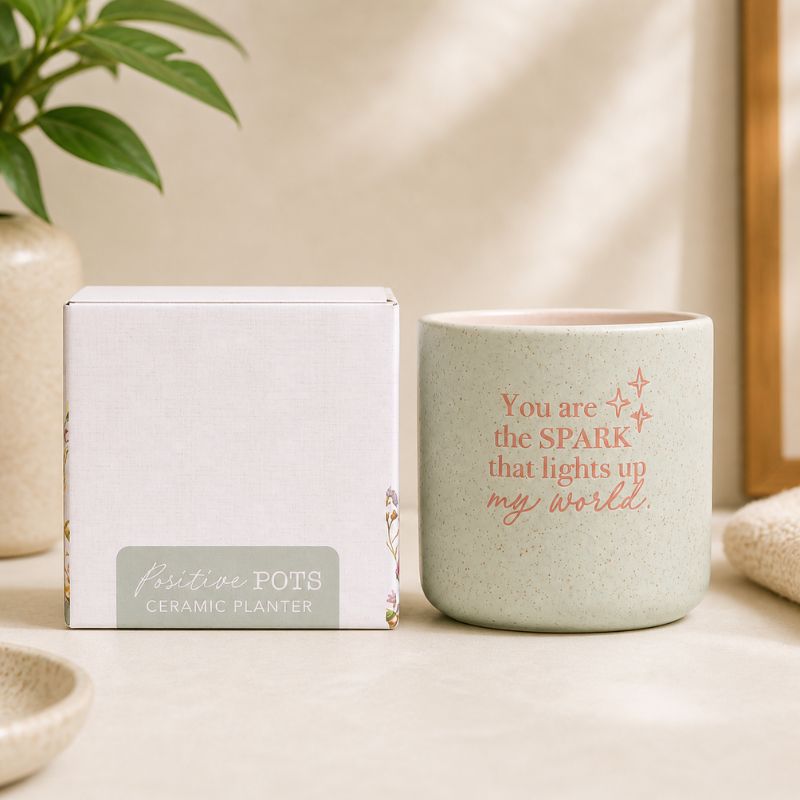 Sage green ceramic quote planter with gift box packaging on neutral background
