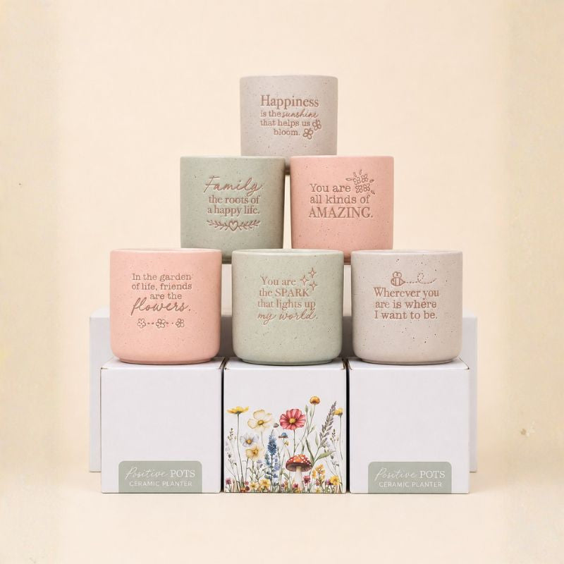 Set of pastel ceramic quote planters with gift boxes arranged in soft neutral setting