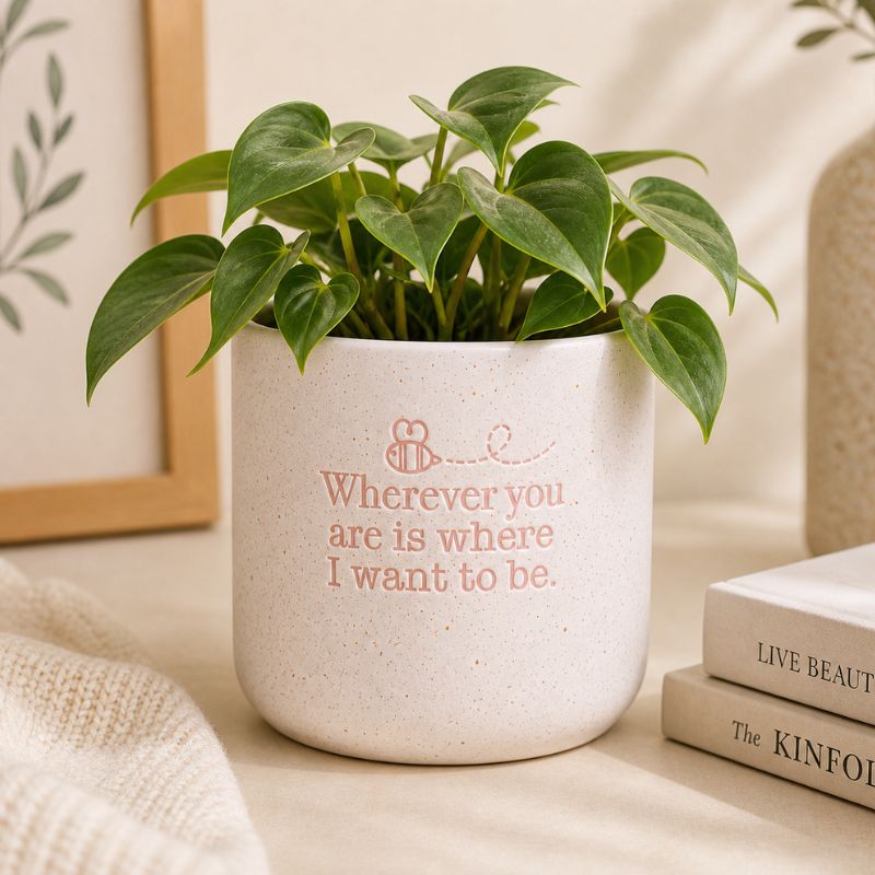 Ceramic quote planter with leafy houseplant in cozy neutral home setting
