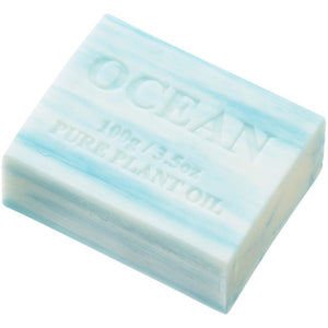 Summer Salt Body – Ocean Soap Bar – 100g – Love Shack Giftware (1)
