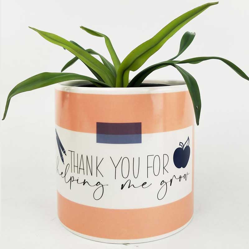 Thank You for Helping Me Grow Planter – Love Shack Giftware