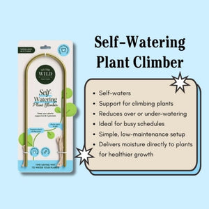 We the Wild – Self-Watering Plant Climber – Love Shack Giftware (1)