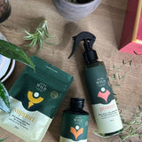 We the Wild - House Plant Care Essentials Kit