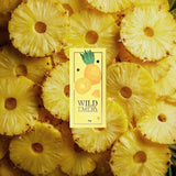 Wild_Emery_Pineapple_Mini_Lip_Balm_-_Love_Shack_Giftware_1