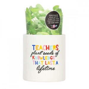 Teacher Seeds Pot Plant - Love Shack Giftware