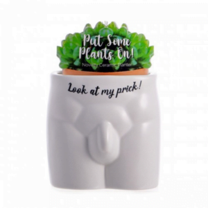 Look at my Prick Planter - Love Shack Giftware