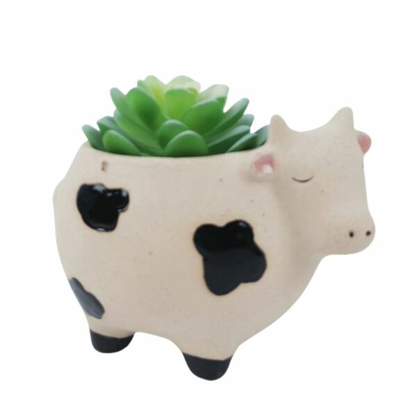 Cow Planter Sand Black Sm 10cm with Plant - Love Shack Giftware