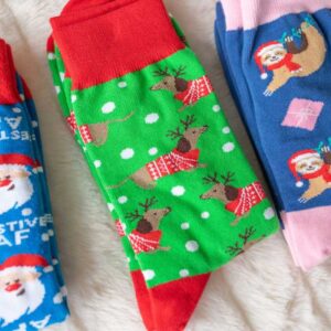 Christmas Dachshund Socks - Love Shack Giftware