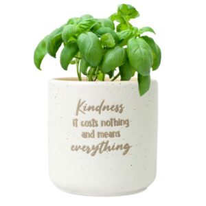 Kindness Positive Pot - Love Shack Giftware