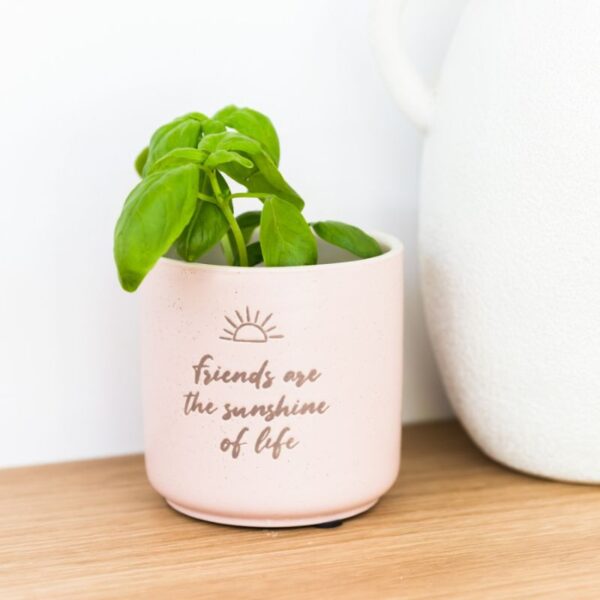 Sunshine Positive Pot - Love Shack Giftware