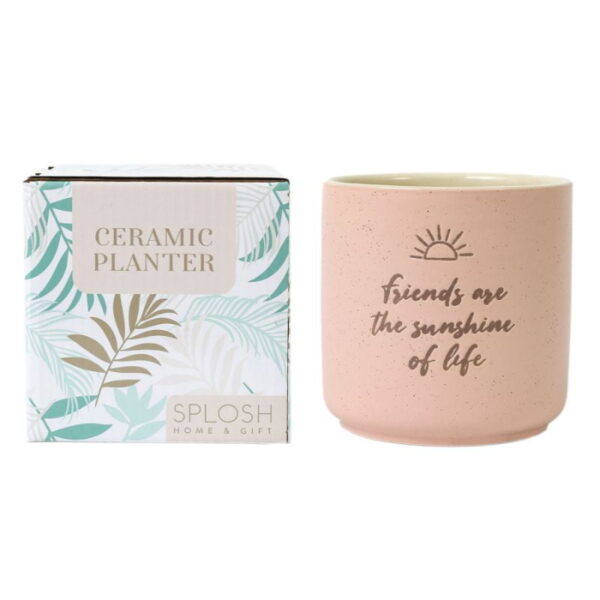 Sunshine Positive Pot - Love Shack Giftware