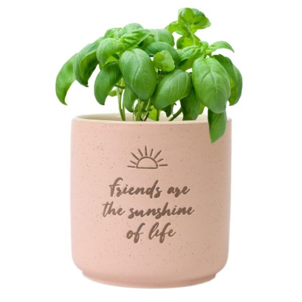 Sunshine Positive Pot - Love Shack Giftware