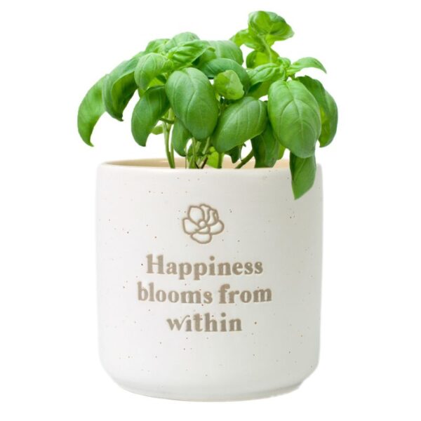 Happiness Positive Pot - Love Shack Giftware