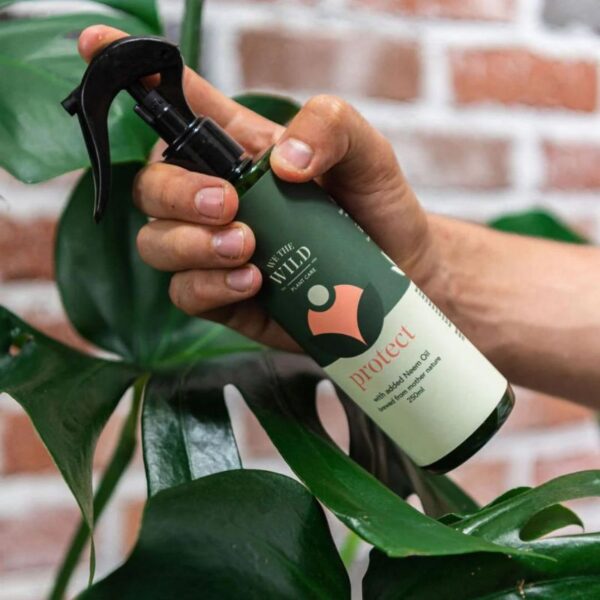 We the Wild – Protect Spray with Neem - Styled Photo - Love Shack Giftware