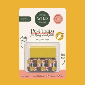 Compostable Gnat Traps - We the Wild - Love Shack Giftware