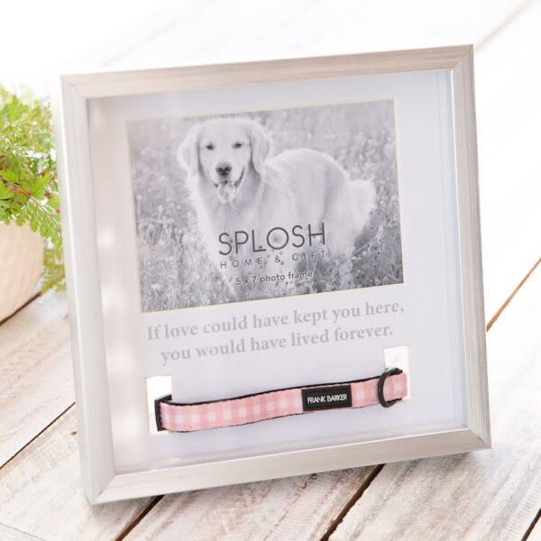 Splosh Sympathy Pet Memorial Collar Frame (2) - Love Shack Giftware