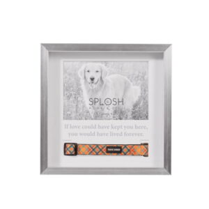 Splosh Sympathy Pet Memorial Collar Frame (5) - Love Shack Giftware